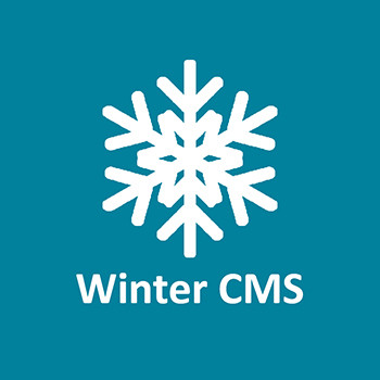 Логотип Winter CMS - это изображение, символизирующее инновационный подход и высокую функциональность системы управления контентом. На изображении изображен ледяной кристалл, который отражает название CMS и ее ассоциации с зимой и холодом. Это изображение является узнаваемым символом Winter CMS и отличным способом идентификации системы среди других CMS.